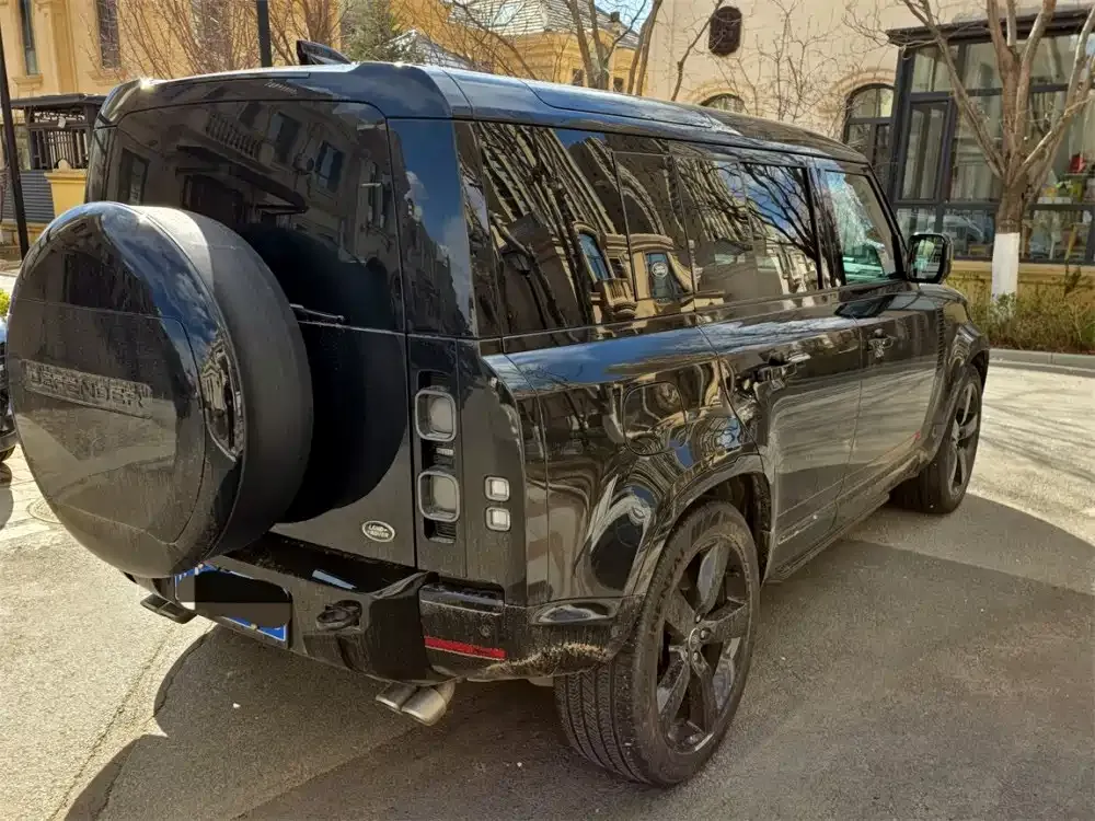 Land Rover Defender — фото 6