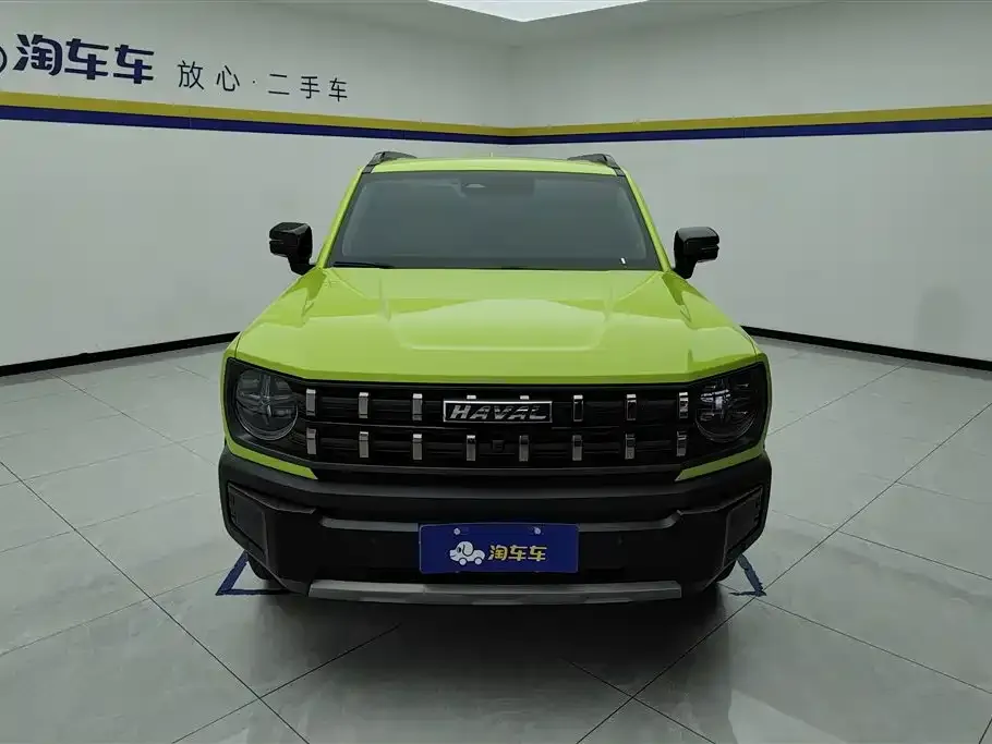 Haval Cool Dog 2022 из CN, фото 7