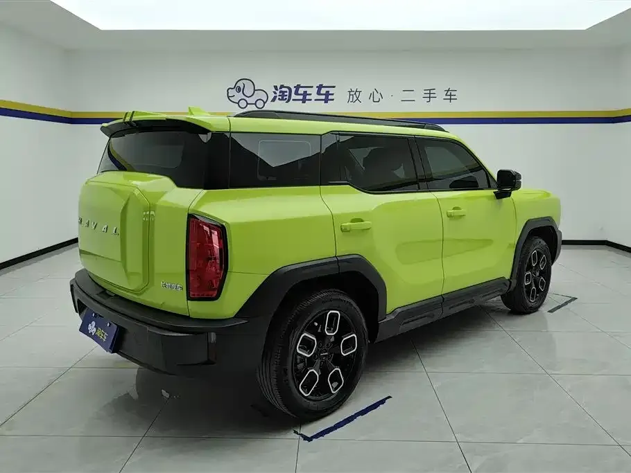 Haval Cool Dog 2022 из CN, фото 2