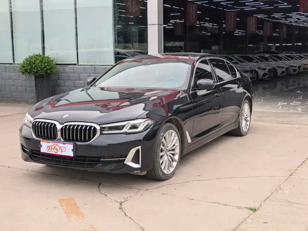 BMW 5 Series 2022 из CN, фото 1