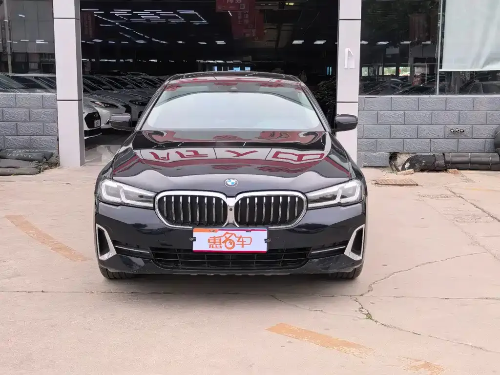 BMW 5 Series 2022 из CN, фото 3