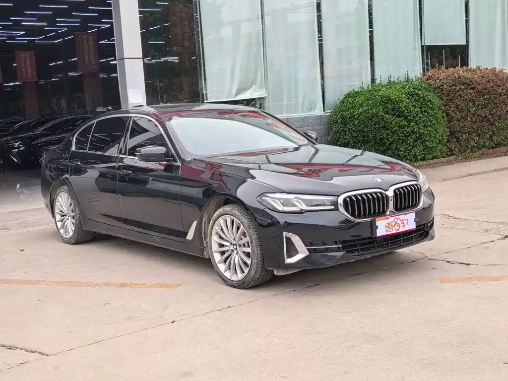 BMW 5 Series 2022 из CN, фото 6