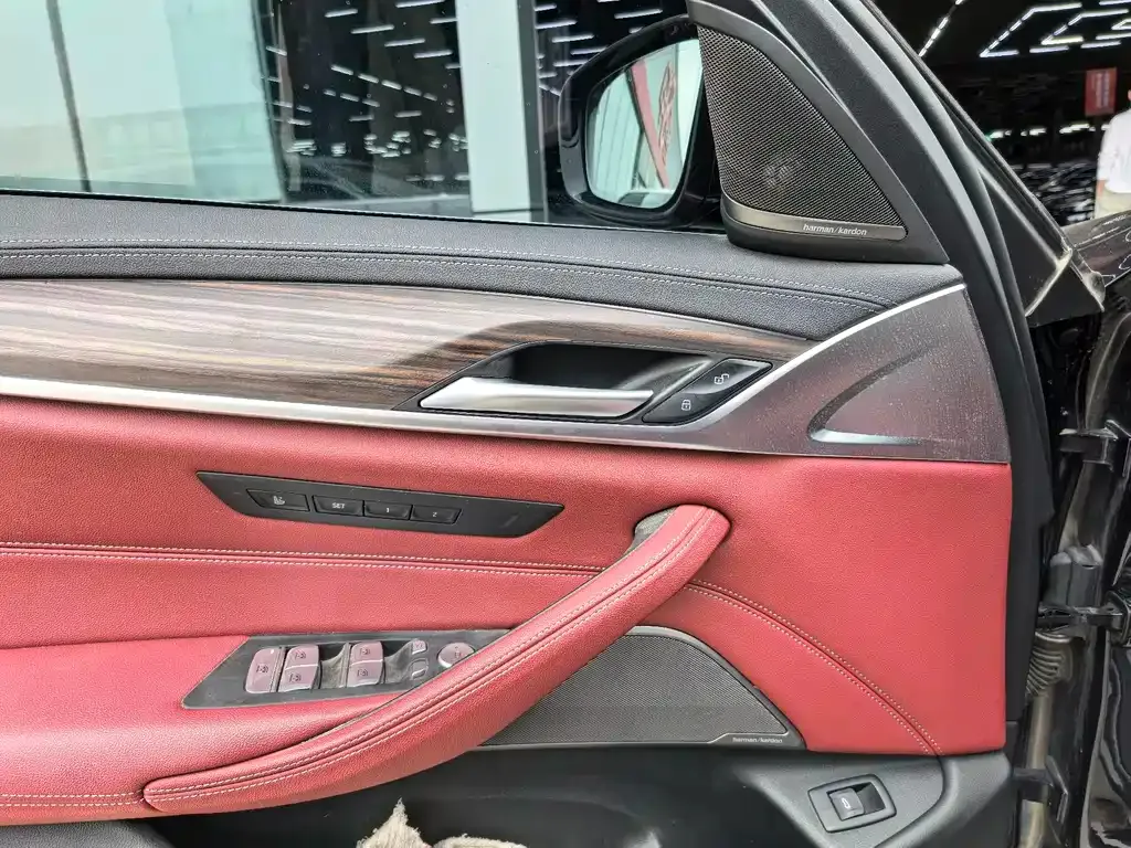 BMW 5 Series 2022 из CN, фото 9