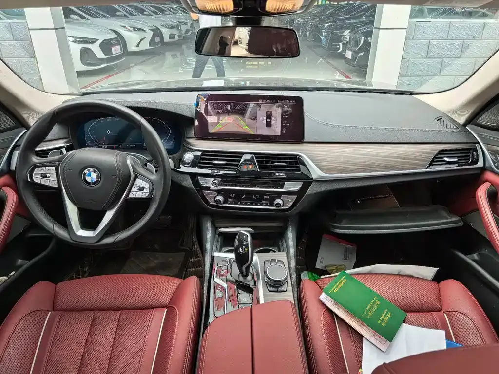 BMW 5 Series 2022 из CN, фото 10