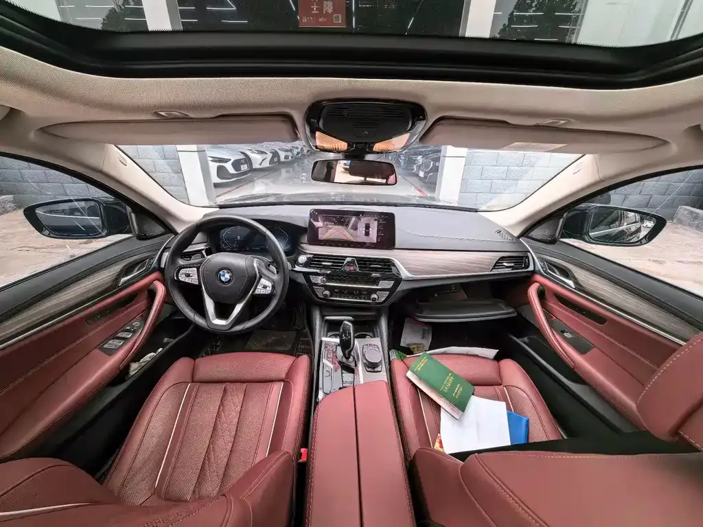 BMW 5 Series 2022 из CN, фото 8