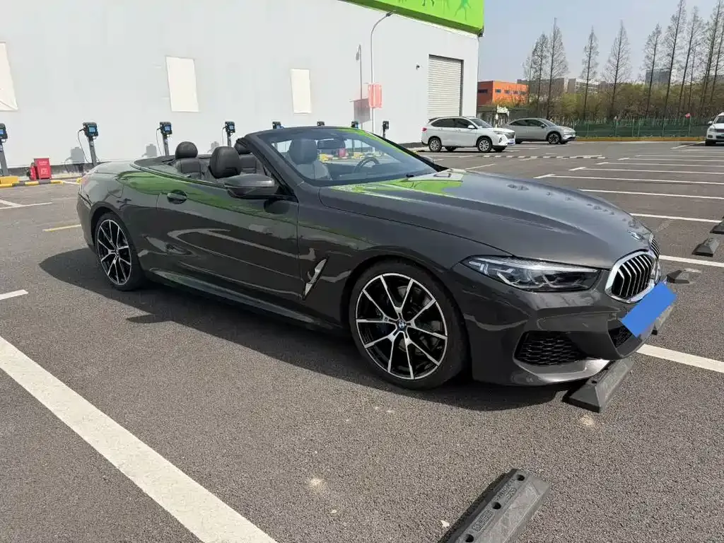 BMW 8 Series 2021 из CN, фото 4