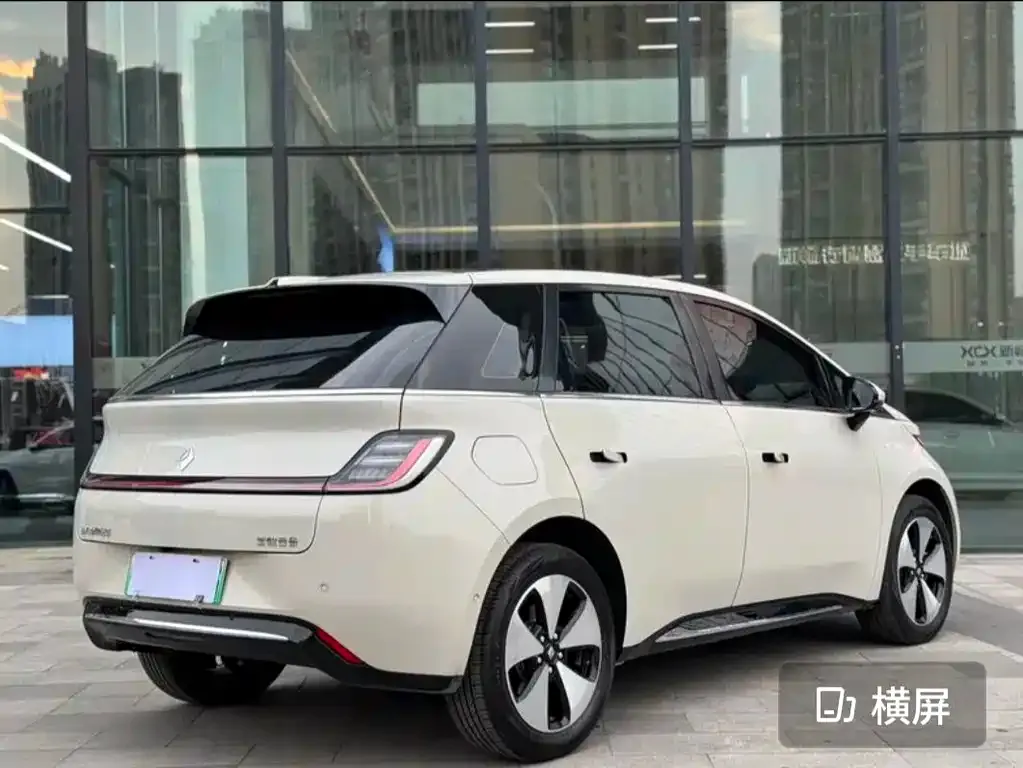 Baojun Yunduo 2023 из CN, фото 6