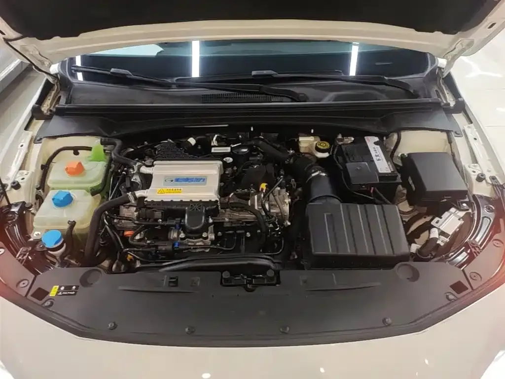 GAC Motor Shadow Leopard 2024 из CN, фото 7