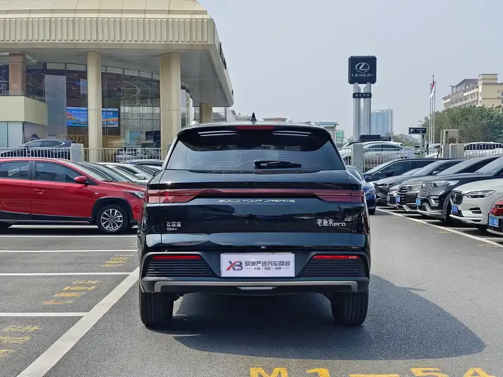 BYD Pro New Energy — фото 3