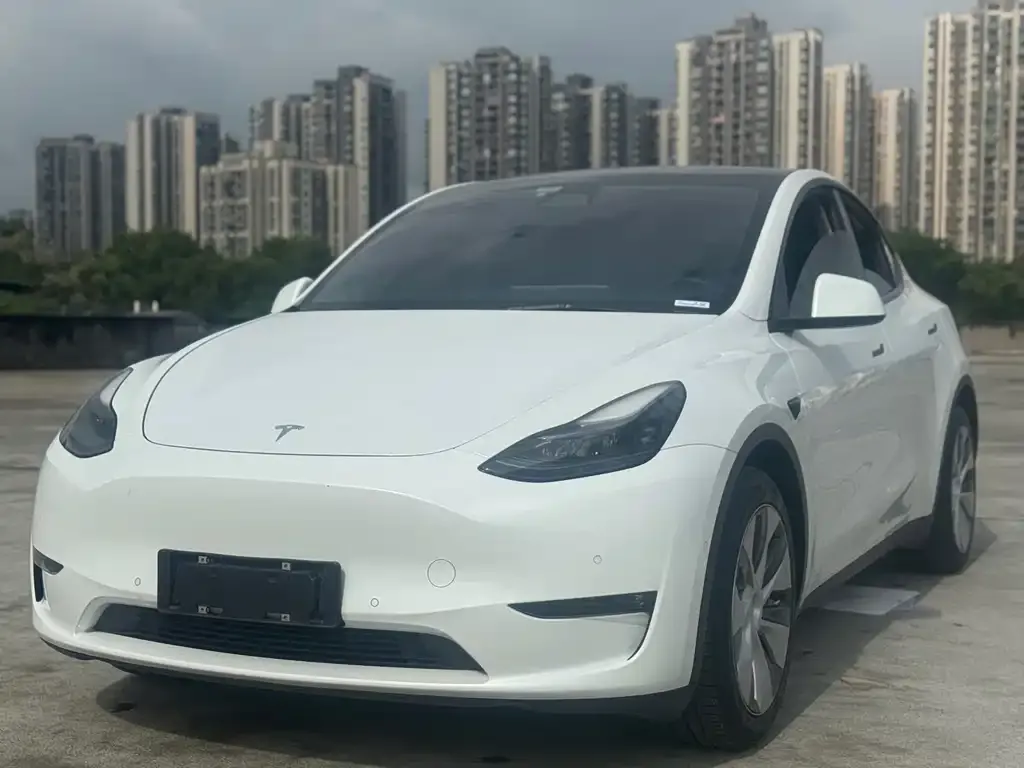 Tesla Model Y — фото 1