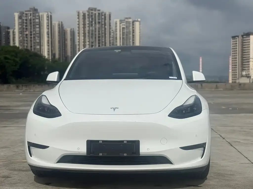 Tesla Model Y — фото 3