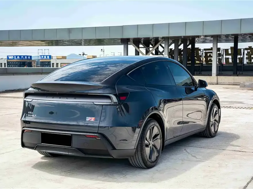 Tesla Model Y — фото 6