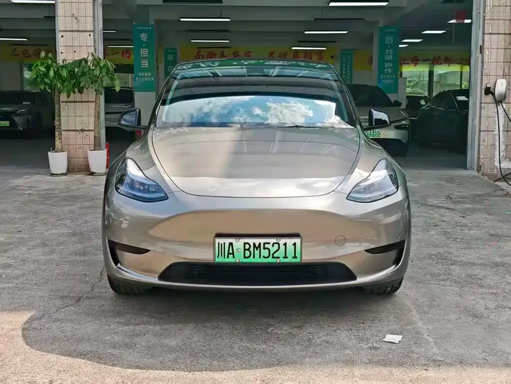 Tesla Model Y — фото 1