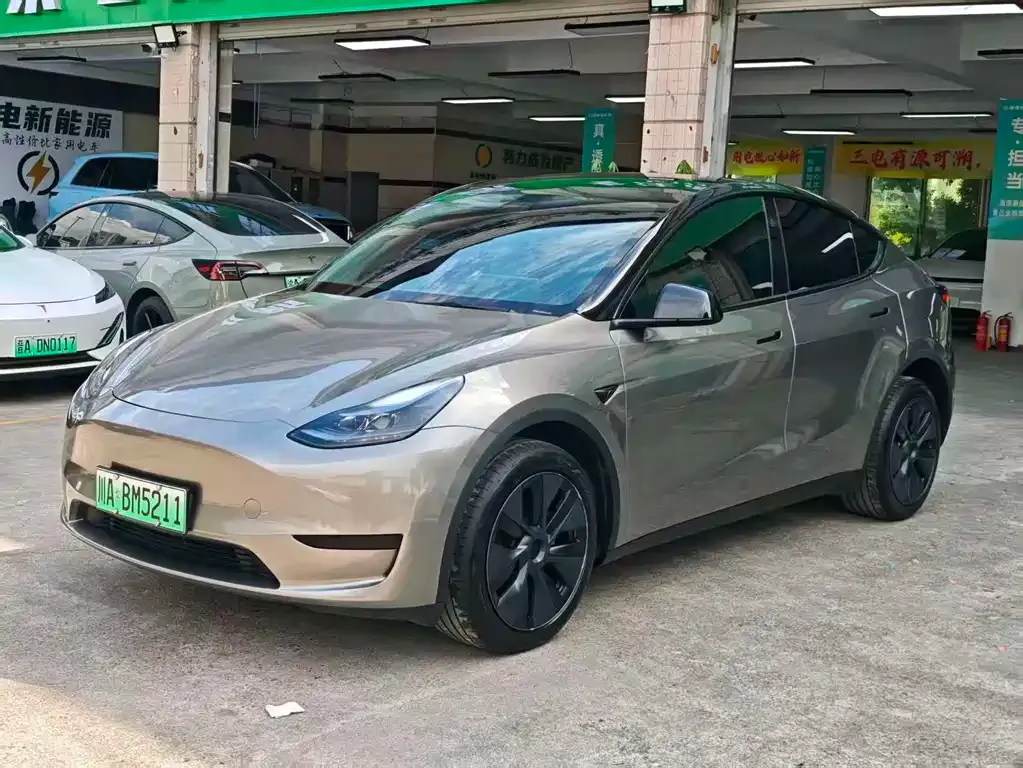 Tesla Model Y — фото 6