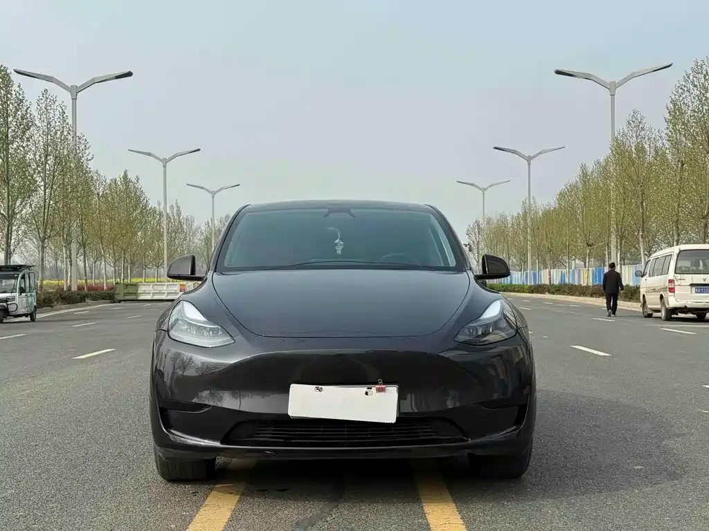 Tesla Model Y — фото 6