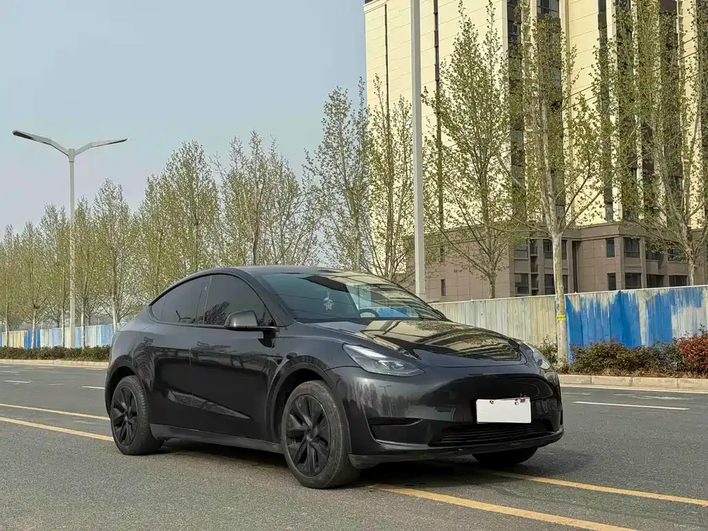 Tesla Model Y — фото 9