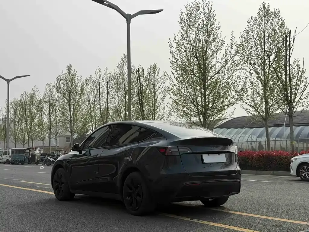 Tesla Model Y — фото 8