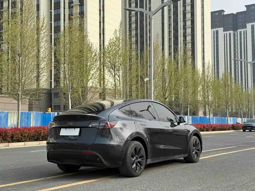 Tesla Model Y — фото 10