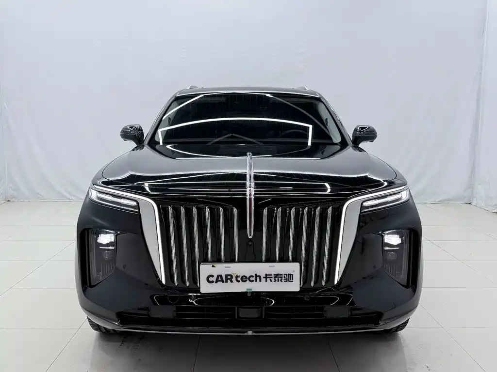 Hongqi E-HS9 2023 из CN, фото 9