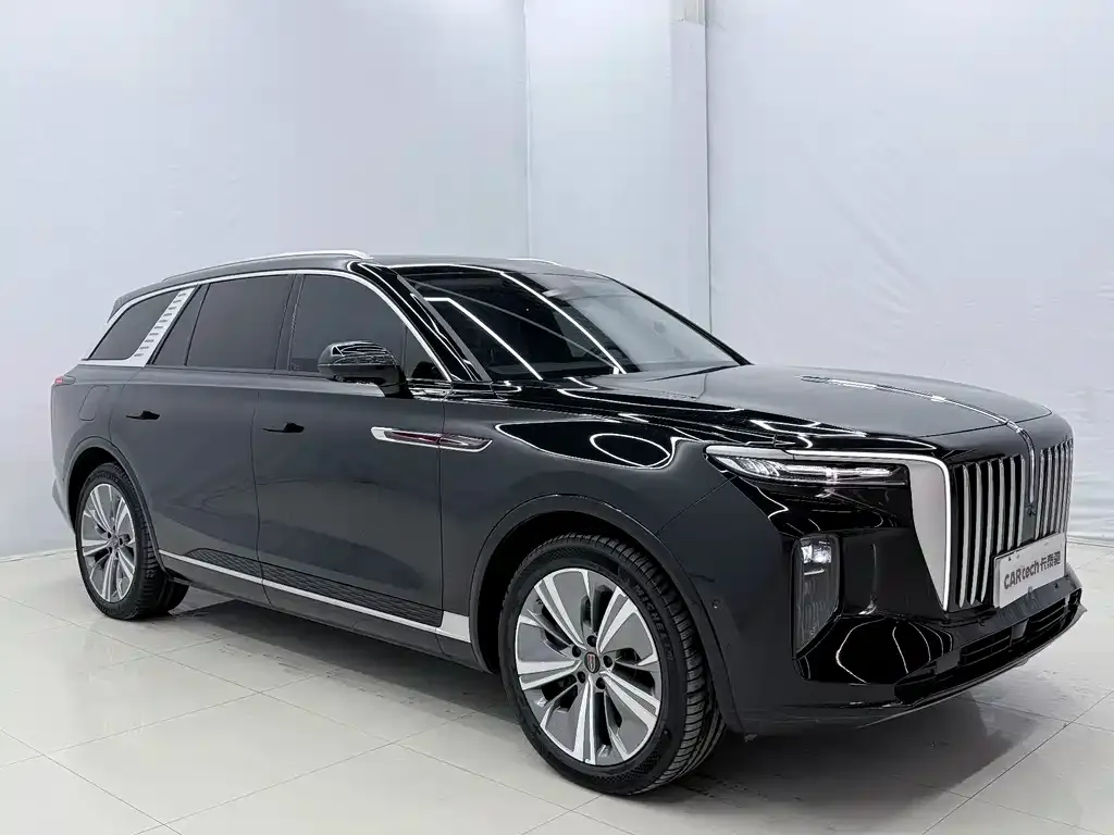 Hongqi E-HS9 2023 из CN, фото 7