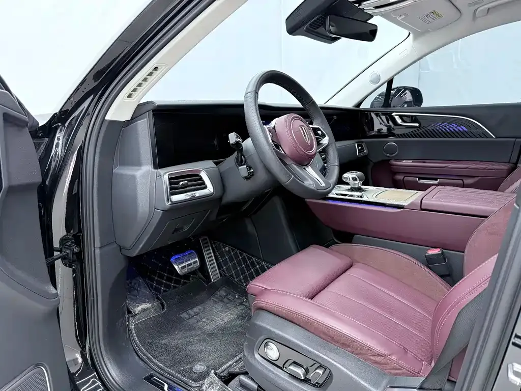 Hongqi E-HS9 2023 из CN, фото 4