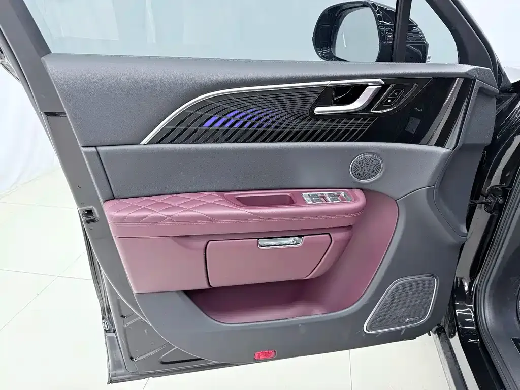 Hongqi E-HS9 2023 из CN, фото 10