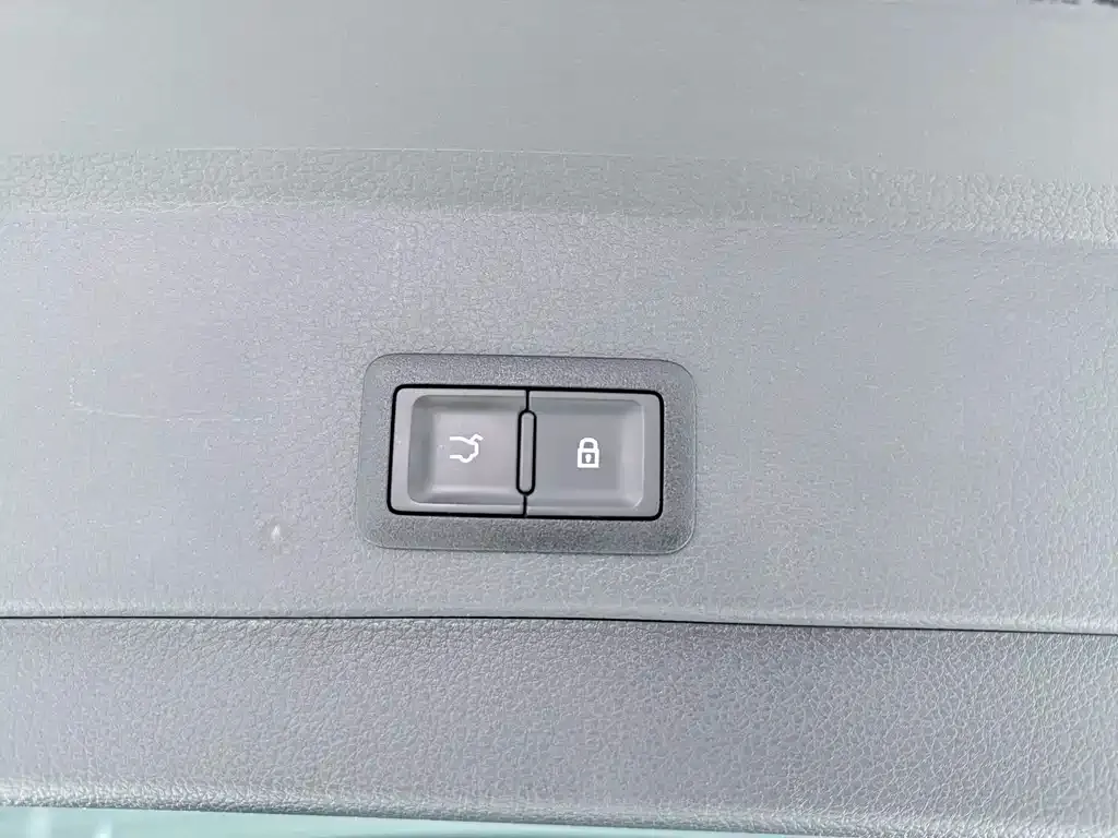 Hongqi E-HS9 2023 из CN, фото 6