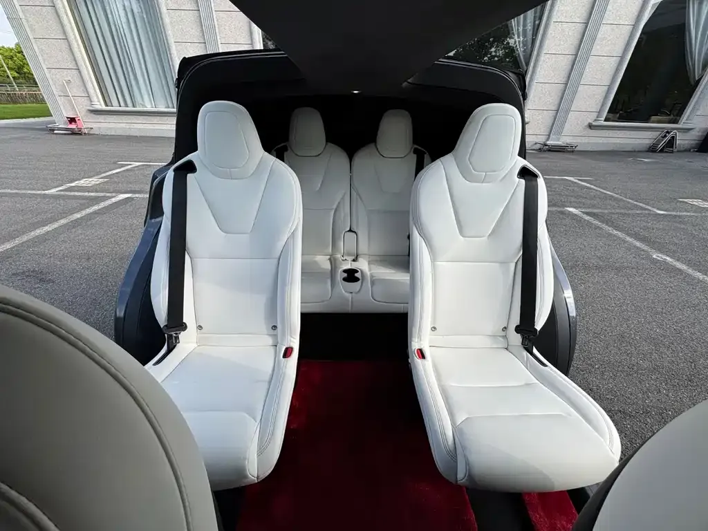 Tesla Model X 2021 из CN, фото 2