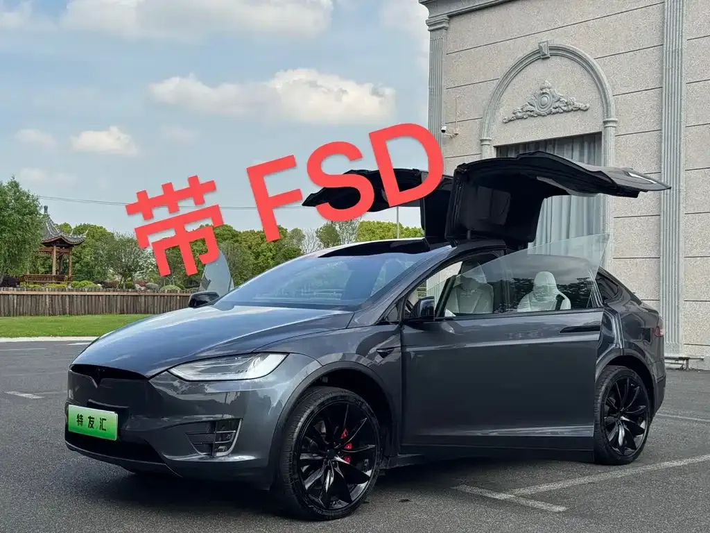 Tesla Model X 2021 из CN, фото 5