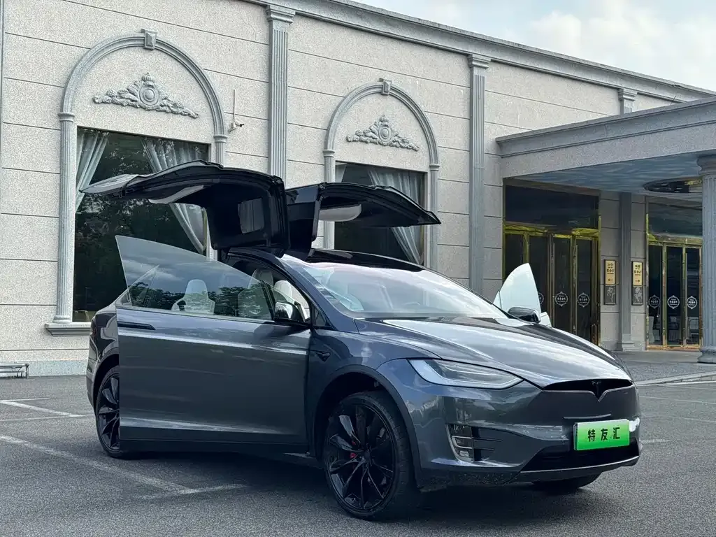 Tesla Model X 2021 из CN, фото 4