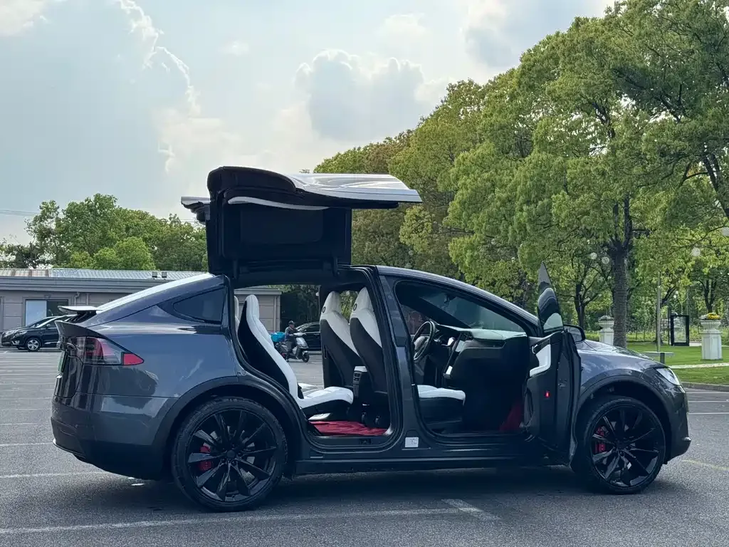 Tesla Model X 2021 из CN, фото 3