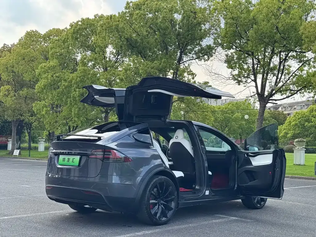 Tesla Model X 2021 из CN, фото 9