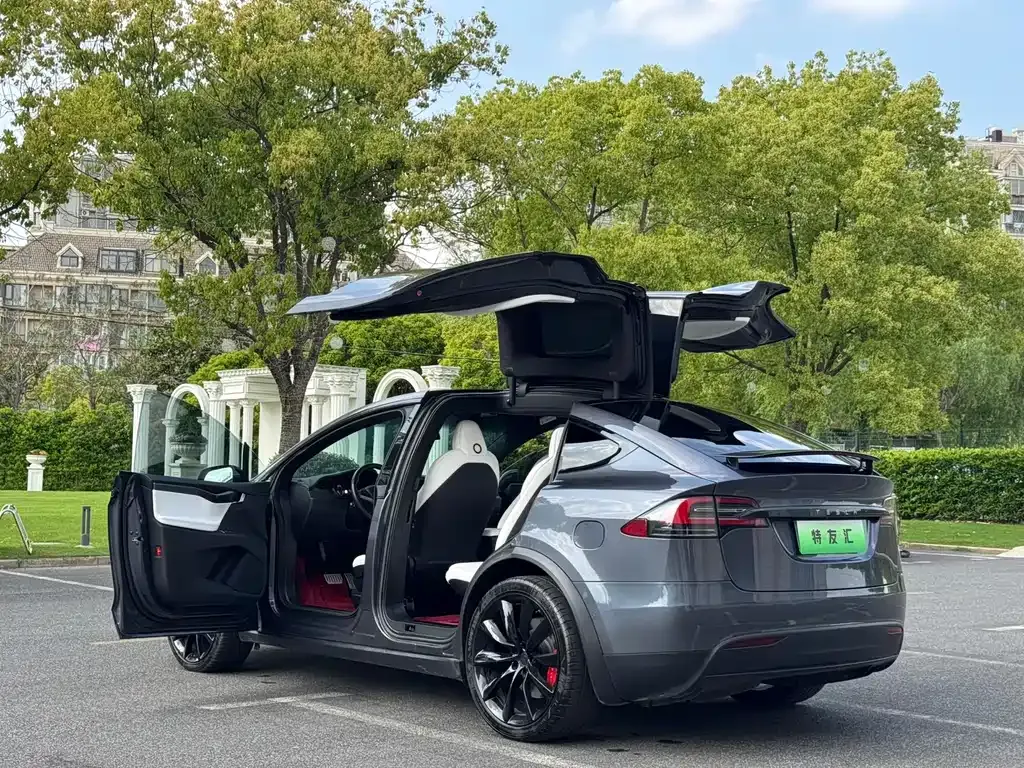Tesla Model X 2021 из CN, фото 8