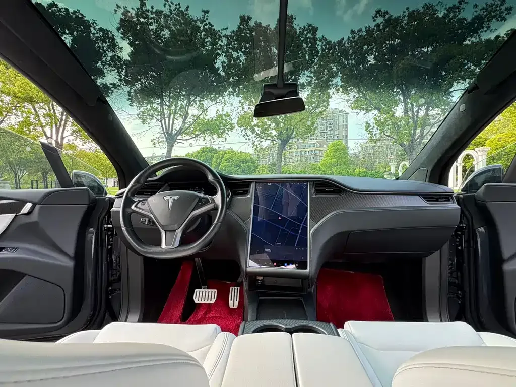 Tesla Model X 2021 из CN, фото 6
