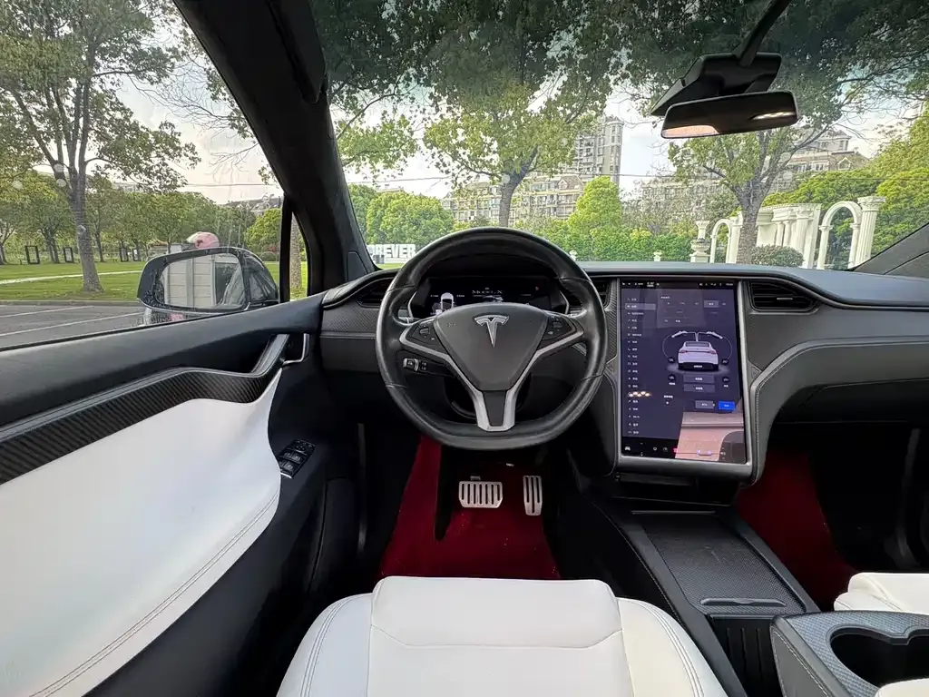 Tesla Model X 2021 из CN, фото 7