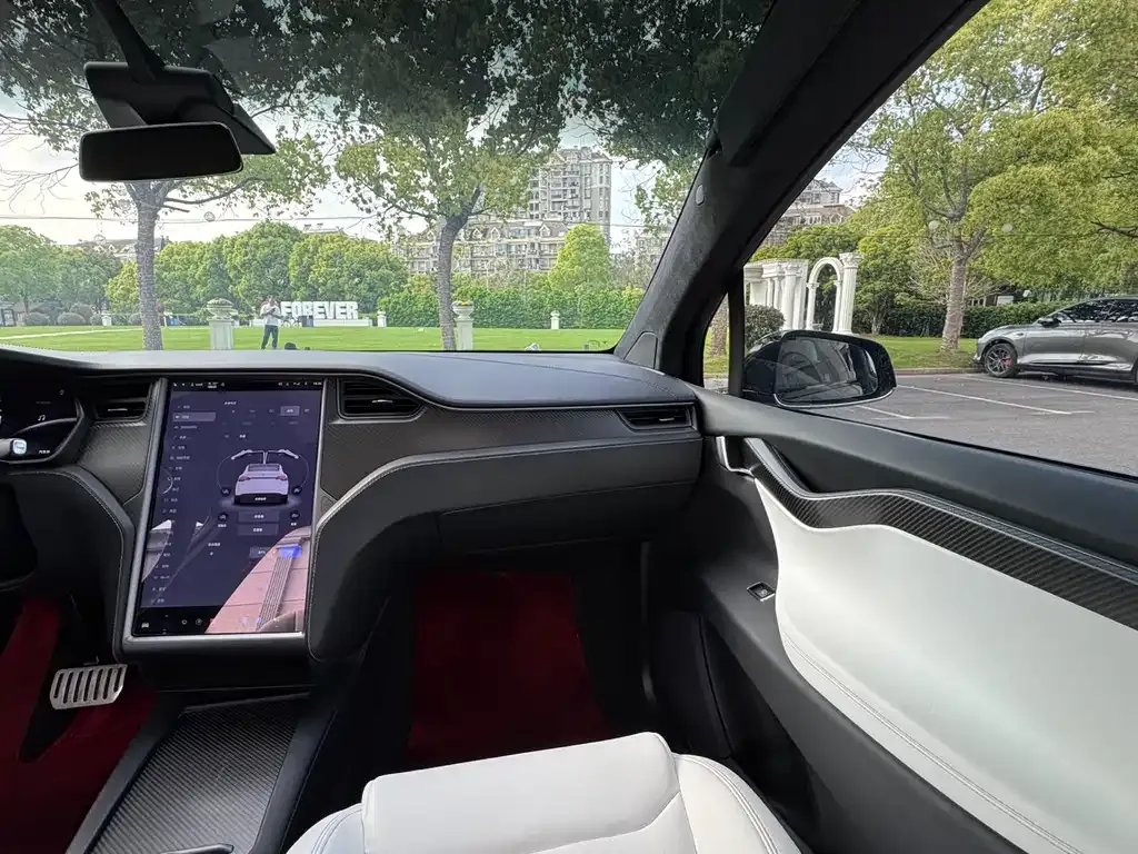 Tesla Model X 2021 из CN, фото 10