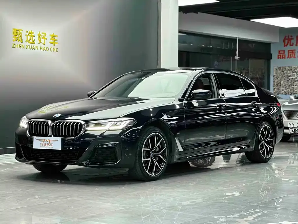 BMW 5 Series 2022 из CN, фото 1