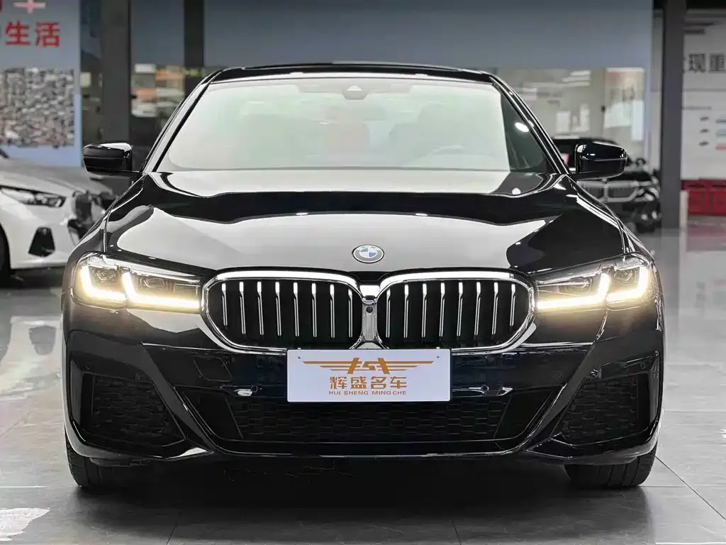 BMW 5 Series 2022 из CN, фото 3
