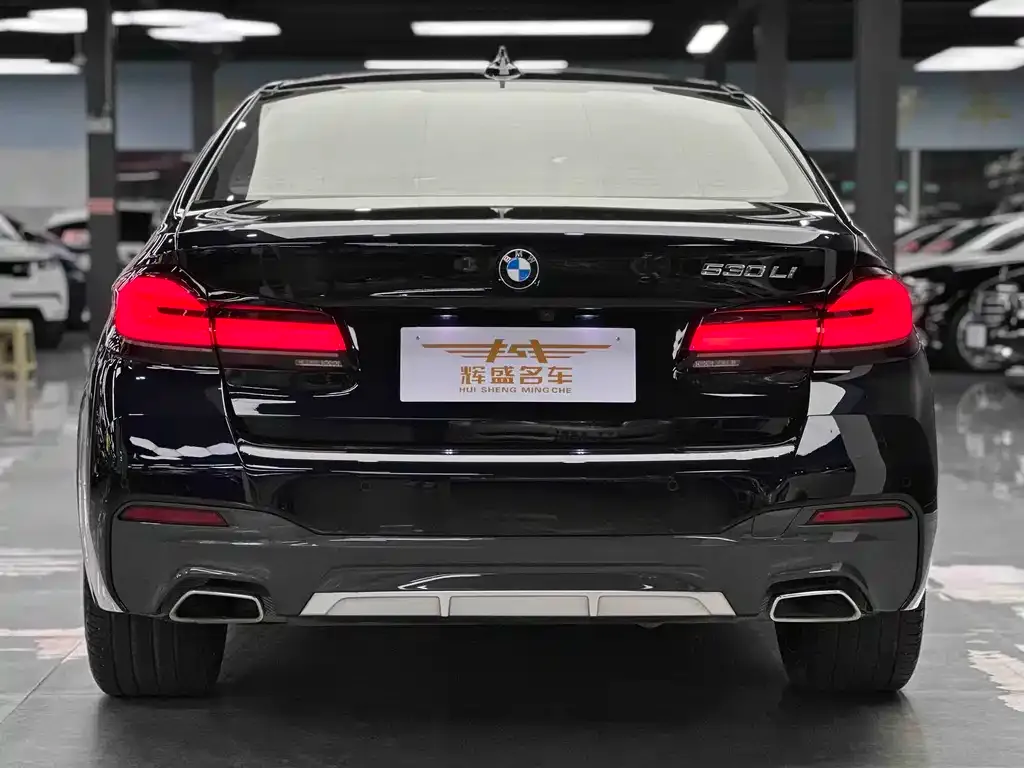 BMW 5 Series 2022 из CN, фото 8