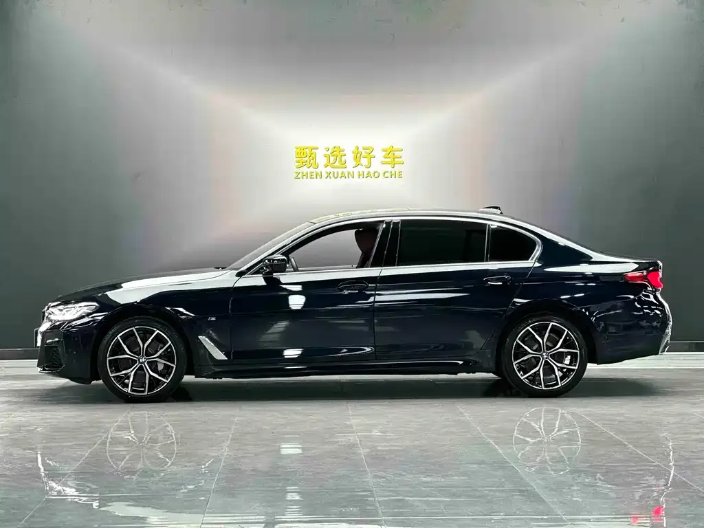 BMW 5 Series 2022 из CN, фото 9