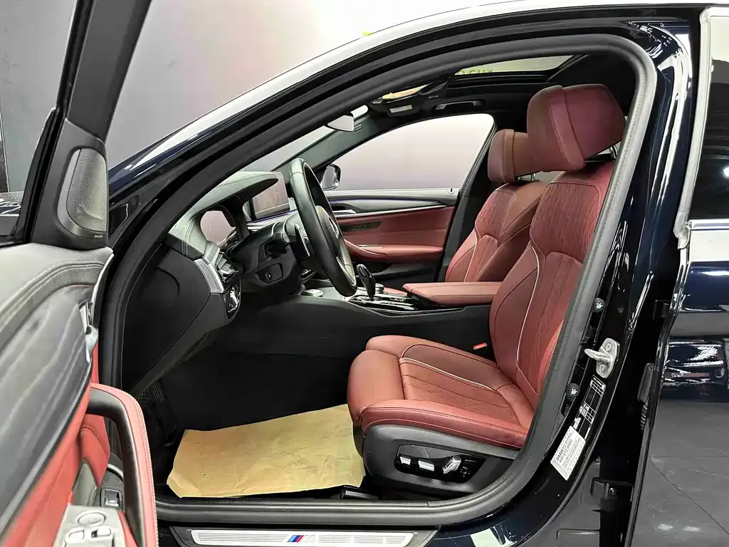 BMW 5 Series 2022 из CN, фото 4