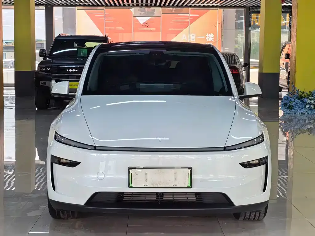 Tesla Model Y — фото 10