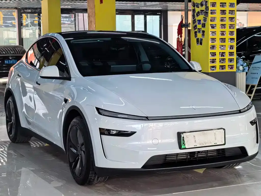 Tesla Model Y — фото 9