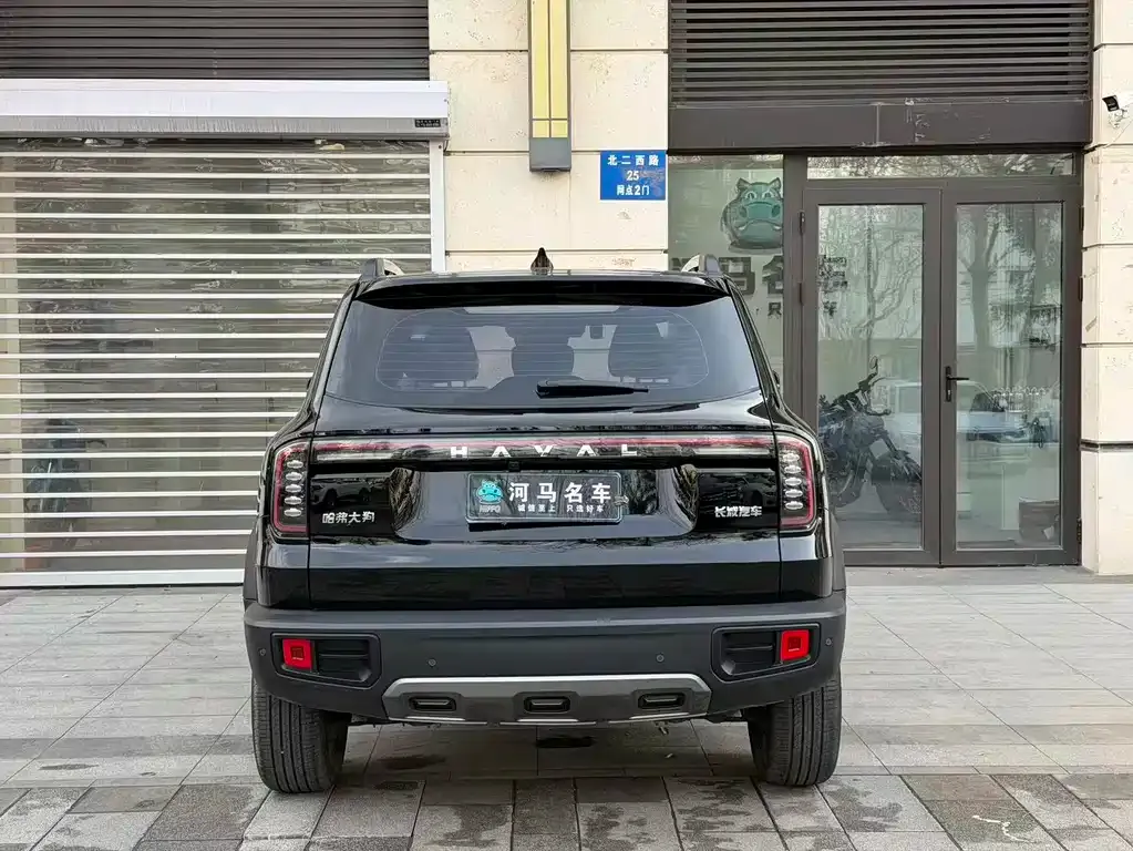 Haval Big Dog — фото 6