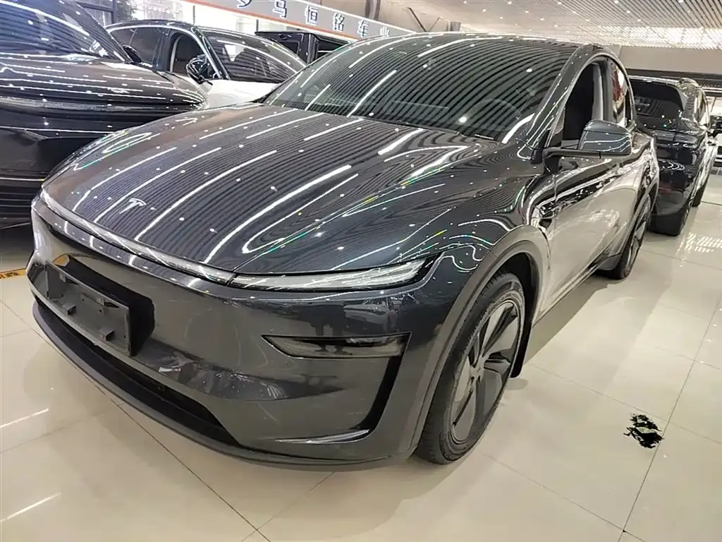 Tesla Model Y — фото 9