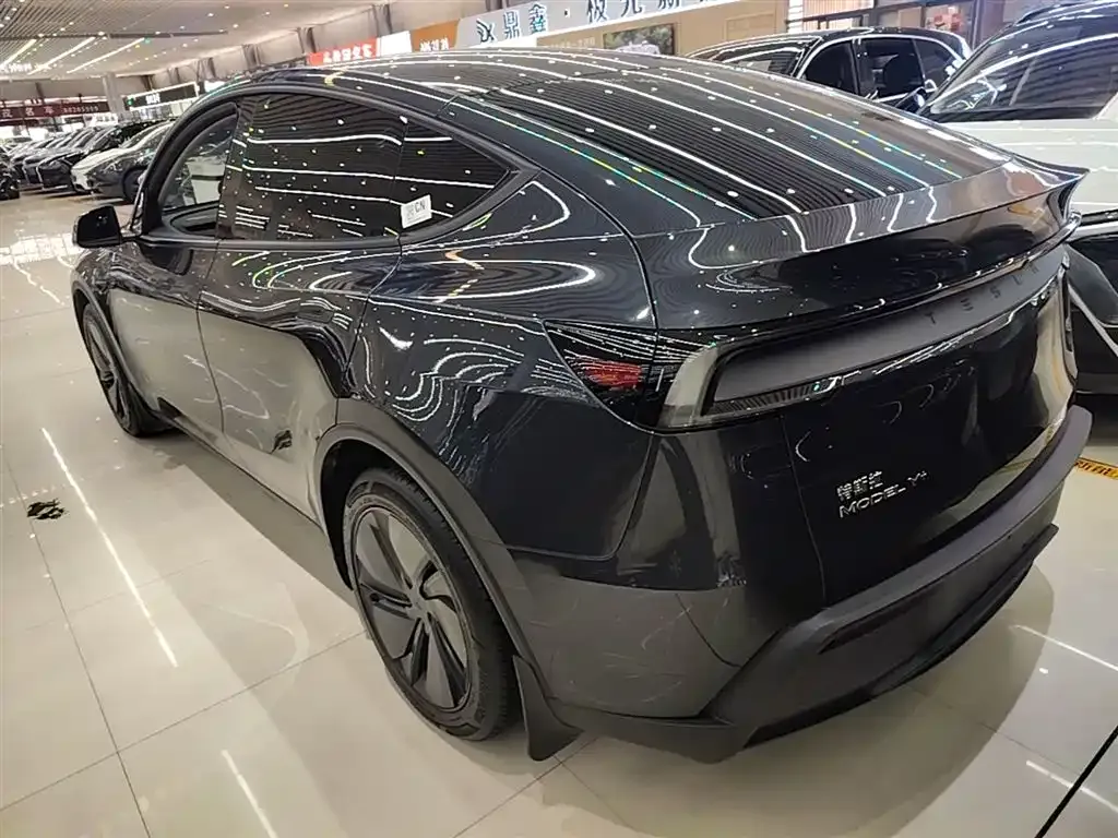 Tesla Model Y — фото 3