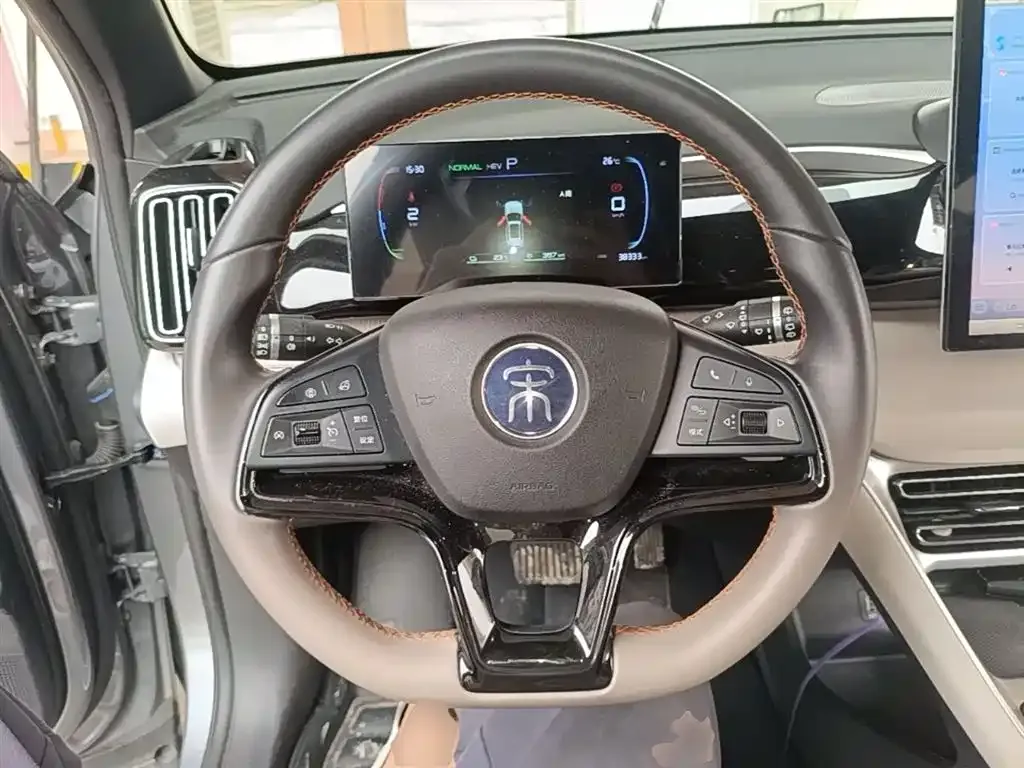 BYD Pro New Energy 2024 из CN, фото 9