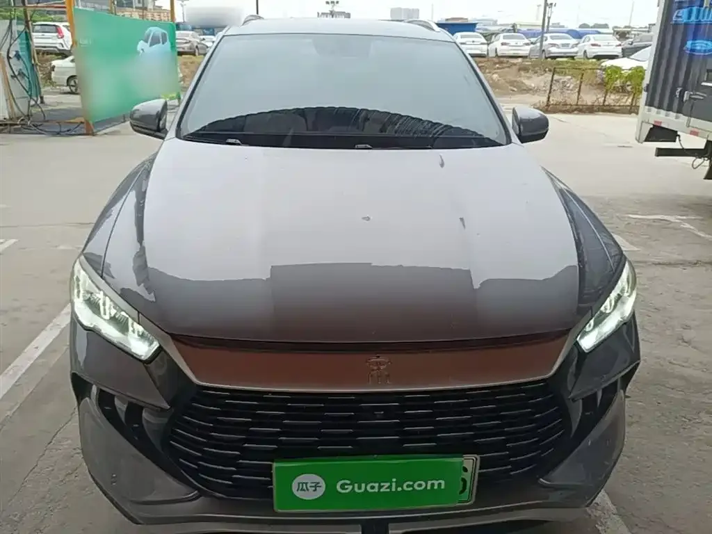 BYD Pro New Energy 2024 из CN, фото 10