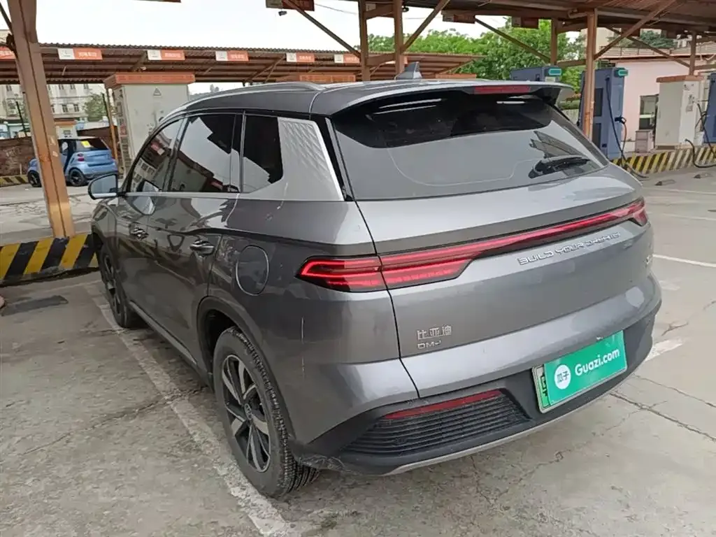 BYD Pro New Energy 2024 из CN, фото 3