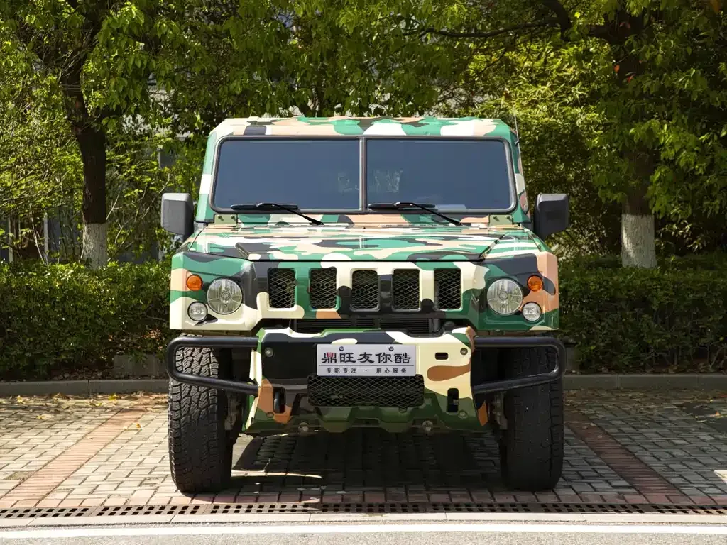 BAW Warrior 2022 из CN, фото 4